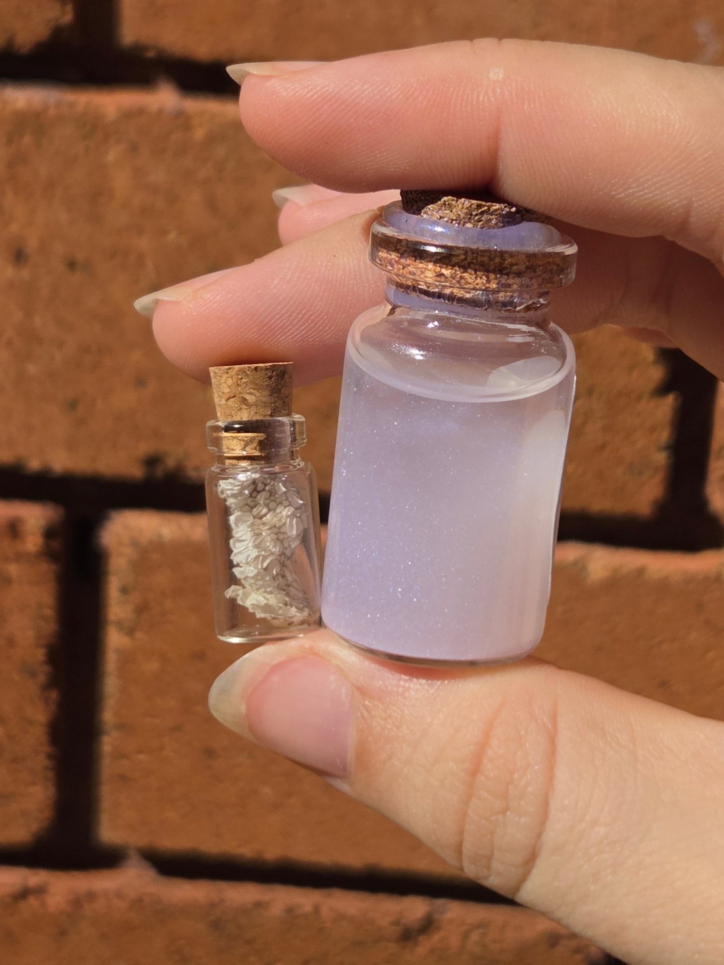 Genuine Reptile Shed Collectable